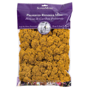 Picture of Reindeer Moss Preserved Mango 8oz Bag