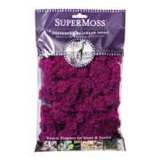 Picture of Reindeer Moss Preserved Fuchsia 2oz Bag
