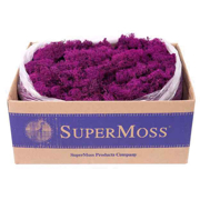 Picture of Reindeer Moss Preserved Fuchsia 3lbs Box
