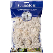 Picture of Reindeer Moss Preserved White 2oz Bag