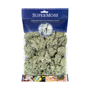 Picture of Reindeer Moss Preserved Moss Green 2oz Bag