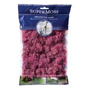 Picture of Reindeer Moss Preserved Dusty Rose 2oz Bag