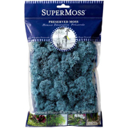 Picture of Reindeer Moss Preserved Azul 2oz Bag