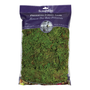 Picture of Forest Moss Preserved Fresh Green 8oz Bag