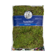 Picture of Forest Moss Preserved Fresh Green 16oz Bag