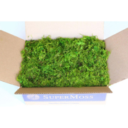 Picture of Forest Moss Preserved Fresh Green 3lb Box