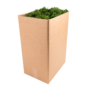 Picture of Forest Moss Preserved Fresh Green 10lb Box