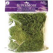 Picture of Spanish Moss Preserved Grass 2oz Bag