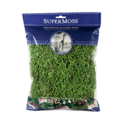 Picture of Spanish Moss Preserved Grass 4oz Bag