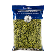 Picture of Spanish Moss Preserved Chartreuse 8oz Bag