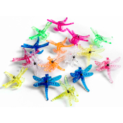 Picture of Dragonfly Orchid Clips - Assorted