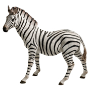 Picture of Zora The Zebra Statue