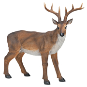 Picture of Standing Big Rack Buck Deer Statue