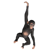 Picture of Hanging Chimp Jungle Monkey Statue              