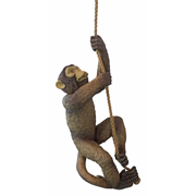 Picture of Makokou The Climbing Monkey                    