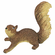 Picture of Simone The Squirrel