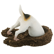 Picture of Terrence The Terrier Digging Dog
