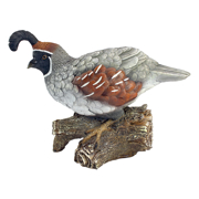 Picture of Dt Coco The Quail Bird Statue