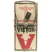 Picture of Victor Metal Bait Pedal Rat Trap  (Bulk)
