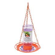 Picture of Oriole Jelly Feeder -Holds 18Oz (0.53L)