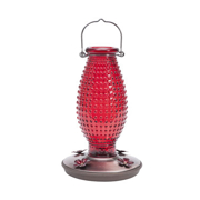 Picture of Red Hobnail Hummingbird Feeder 24 Oz