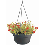 Image Thumbnail for 12" DURA COTTA HANGING BASKET BLACK