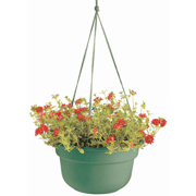 Image Thumbnail for 12" DURA COTTA HANGING BASKET LIVING GREEN