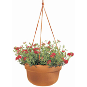 Image Thumbnail for 12" DURA COTTA HANGING BASKET TERRA COTTA