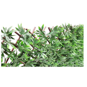 Image Thumbnail for JAPANESE MAPLE GRN EXPANDABLE SCREEN 6.7'X3.3'