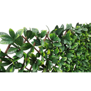 Image Thumbnail for CAMELLIA LEAF EXPANDABLE PRIVACY SCREEN 6.7'X3.3'
