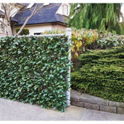 Image Thumbnail for CAMELLIA LEAF EXPANDABLE PRIVACY SCREEN 6.7'X3.3'