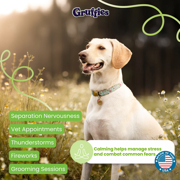 Image Thumbnail for GRUFFIES - CALMING 6 OZ BAG (12/CS)