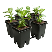 Image Thumbnail for Active Aqua Grow Flow 2.0 Expansion Kit w/six 5 gal Square Pots