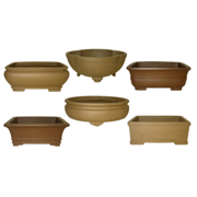 Image Thumbnail for UNGLAZED 12" BONSAI POT - ASST STYLES