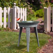 Image Thumbnail for BIRD BATH GALVZ 18" W/STAND