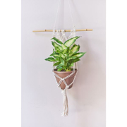Image Thumbnail for LARGE WALL PLANTER