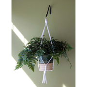 Image Thumbnail for 30" MACRAME HANGERS ASSORTED (24PC)
