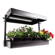 Image Thumbnail for SunBlaster LED Grow Light Garden, Black