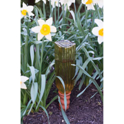 Image Thumbnail for NEVER DRY PLANT PAL  DS (24 PCS)