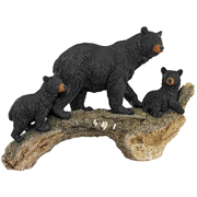 Image Thumbnail for CONTROLLING THE CUBS BLACK BEARS STATUE