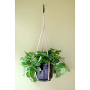 Image Thumbnail for 36" ASSORTED SOLID FABRIC PLANT HANGERS